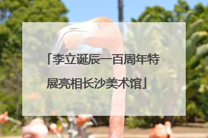 李立诞辰一百周年特展亮相长沙美术馆