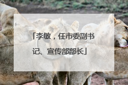李敏，任市委副书记、宣传部部长