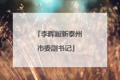 李晖履新泰州市委副书记