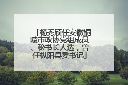 杨秀颀任安徽铜陵市政协党组成员、秘书长人选，曾任枞阳县委书记