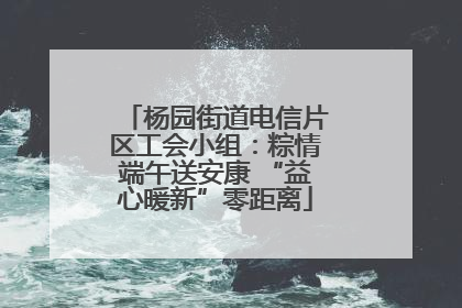 杨园街道电信片区工会小组：粽情端午送安康 “益心暖新”零距离