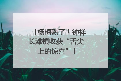 杨梅熟了！钟祥长滩镇收获“舌尖上的惊喜”