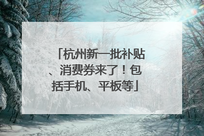杭州新一批补贴、消费券来了！包括手机、平板等