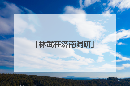 林武在济南调研