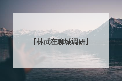 林武在聊城调研