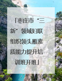 枣庄市“三新”领域妇联组织领头雁素质能力提升培训班开班