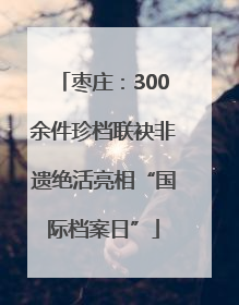 枣庄：300余件珍档联袂非遗绝活亮相“国际档案日”
