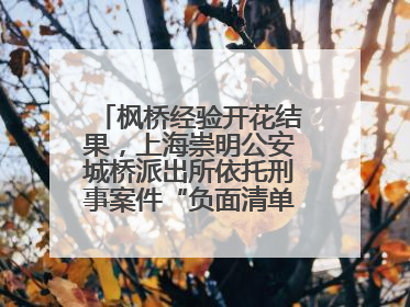 枫桥经验开花结果，上海崇明公安城桥派出所依托刑事案件“负面清单”强化派出所“主防”