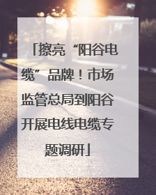 擦亮“阳谷电缆”品牌！市场监管总局到阳谷开展电线电缆专题调研