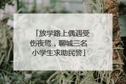 放学路上偶遇受伤夜鹭，聊城三名小学生求助民警