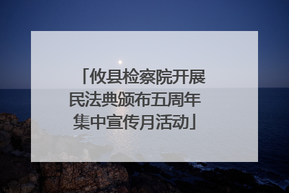 攸县检察院开展民法典颁布五周年集中宣传月活动