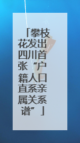 攀枝花发出四川首张“户籍人口直系亲属关系谱”