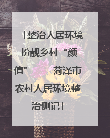 整治人居环境 扮靓乡村“颜值”——菏泽市农村人居环境整治侧记