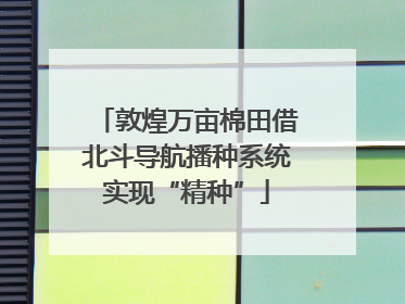 敦煌万亩棉田借北斗导航播种系统实现“精种”