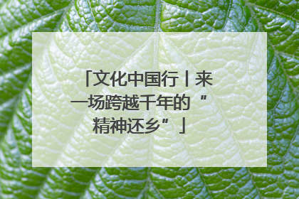文化中国行丨来一场跨越千年的“精神还乡”