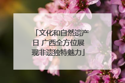 文化和自然遗产日 广西全方位展现非遗独特魅力