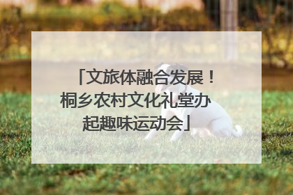 文旅体融合发展！桐乡农村文化礼堂办起趣味运动会