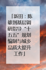 新田：陈雄到基层调研指导“十五五”规划编制与城乡品质大提升工作