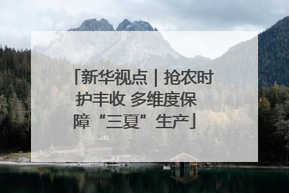 新华视点｜抢农时 护丰收 多维度保障“三夏”生产