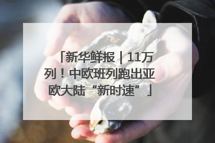 新华鲜报｜11万列！中欧班列跑出亚欧大陆“新时速”