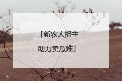 新农人播主 助力卖瓜难