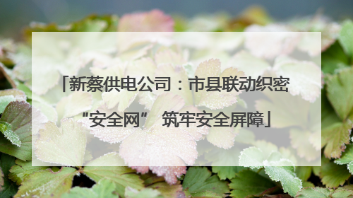 新蔡供电公司：市县联动织密“安全网” 筑牢安全屏障