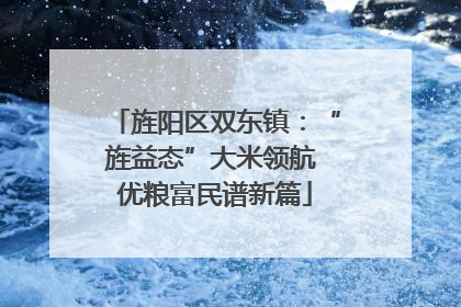 旌阳区双东镇：“旌益态”大米领航 优粮富民谱新篇