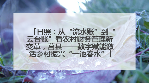 日照：从“流水账”到“云台账”看农村财务管理新变革，莒县——数字赋能激活乡村振兴“一池春水”