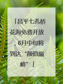 昌平七孔桥花海免费开放，6月中旬将到达“颜值巅峰”