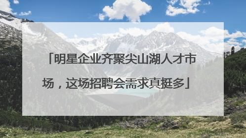 明星企业齐聚尖山湖人才市场，这场招聘会需求真挺多