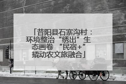 昔阳县石寨沟村：环境整治“绣出”生态画卷 “民宿+”撬动农文旅融合