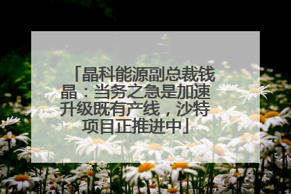 晶科能源副总裁钱晶：当务之急是加速升级既有产线，沙特项目正推进中