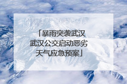 暴雨突袭武汉 武汉公交启动恶劣天气应急预案