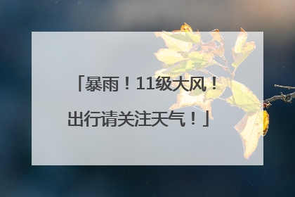 暴雨！11级大风！出行请关注天气！