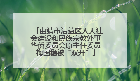 曲靖市沾益区人大社会建设和民族宗教外事华侨委员会原主任委员梅国稳被“双开”