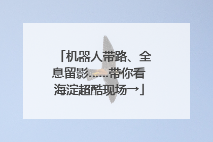 机器人带路、全息留影……带你看海淀超酷现场→