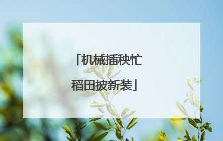 机械插秧忙 稻田披新装