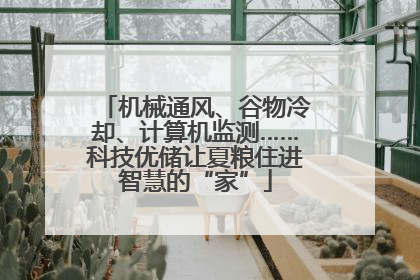 机械通风、谷物冷却、计算机监测……科技优储让夏粮住进智慧的“家”