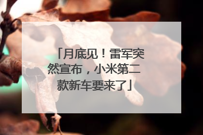 月底见！雷军突然宣布，小米第二款新车要来了