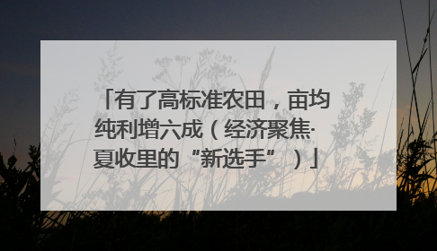 有了高标准农田，亩均纯利增六成（经济聚焦·夏收里的“新选手”）