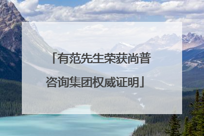 有范先生荣获尚普咨询集团权威证明