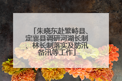 朱晓东赴繁峙县、定襄县调研河湖长制、林长制落实及防汛备汛等工作