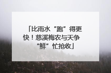 比雨水“跑”得更快！慈溪梅农与天争“鲜”忙抢收
