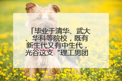 毕业于清华、武大、华科等院校，既有新生代又有中生代，光谷这支“理工男团”为何“出道”？