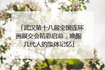 武汉第十八届全国连环画展交会精彩启幕，唤醒几代人的集体记忆