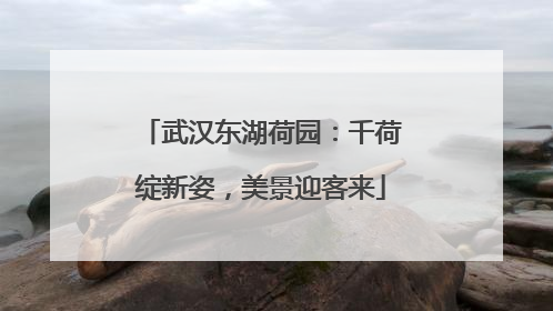 武汉东湖荷园：千荷绽新姿，美景迎客来