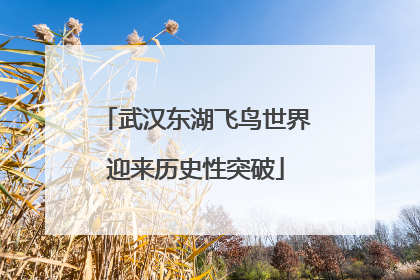 武汉东湖飞鸟世界迎来历史性突破