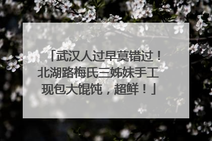 武汉人过早莫错过！北湖路梅氏三姊妹手工现包大馄饨，超鲜！