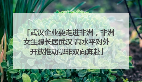 武汉企业要走进非洲，非洲女生想长居武汉 高水平对外开放推动鄂非双向奔赴