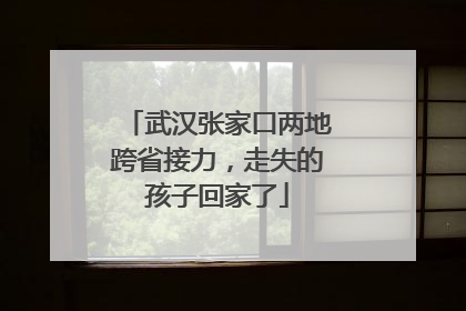 武汉张家口两地跨省接力，走失的孩子回家了